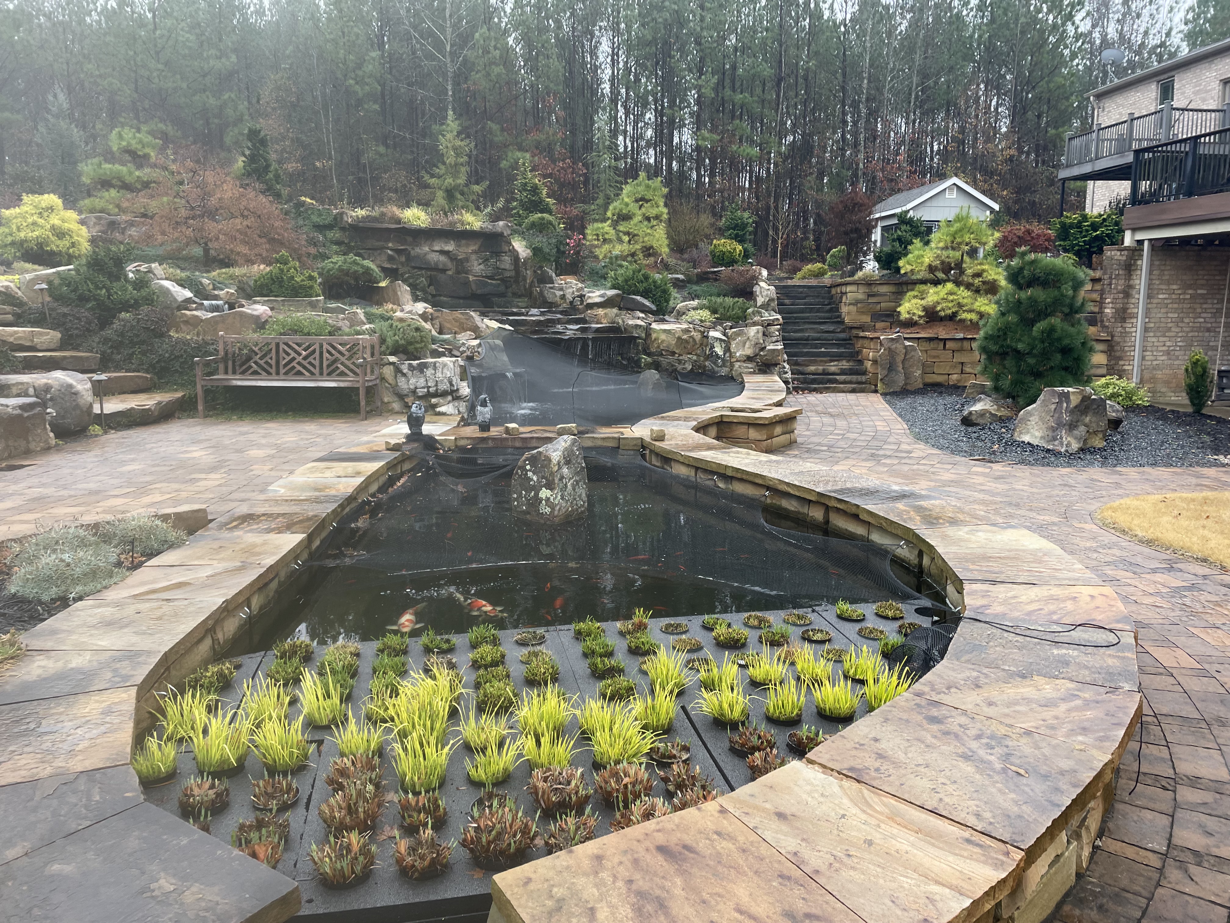 Koi Pond with Waterfall