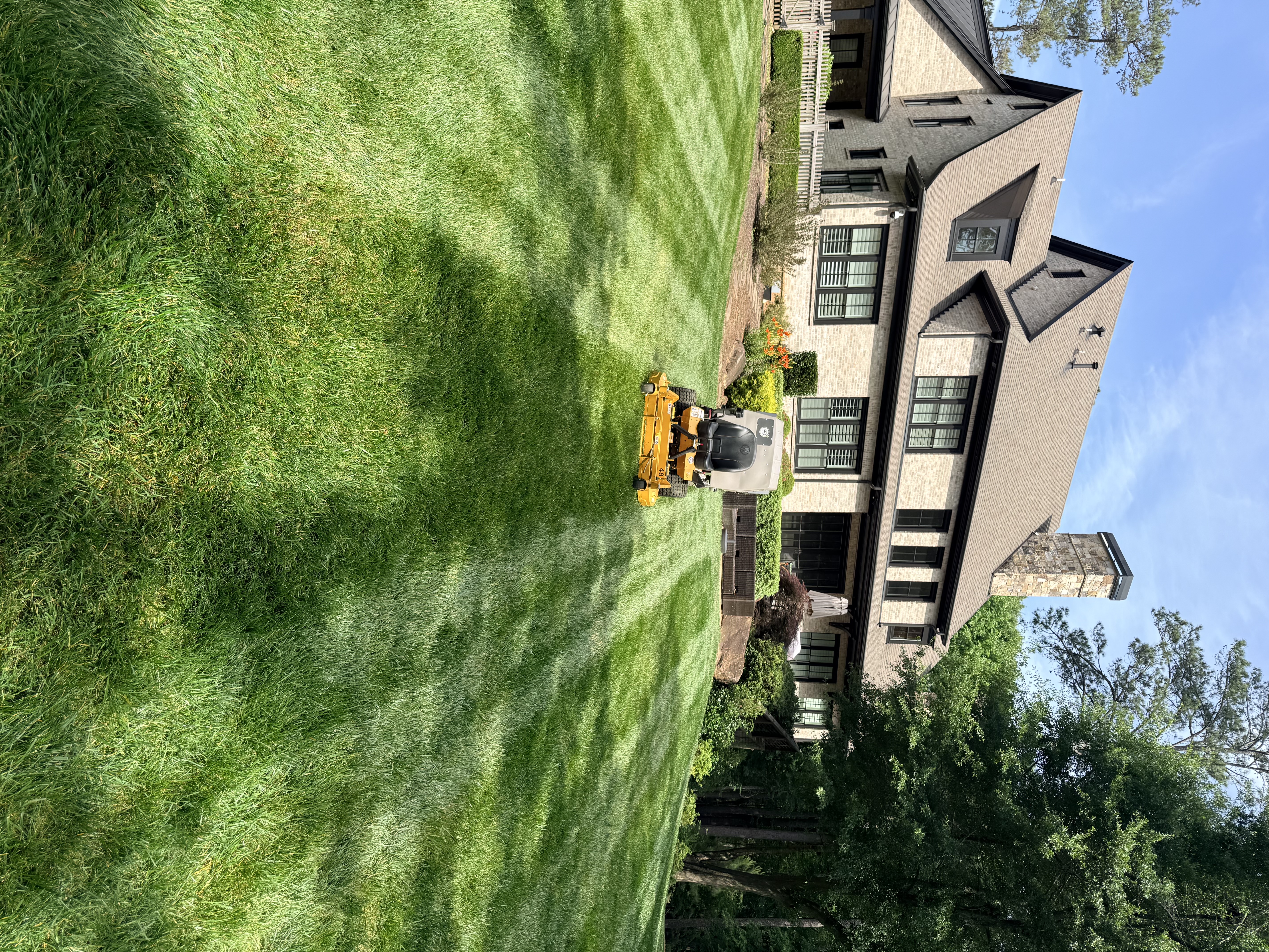 Lawn Care & Sod Installation